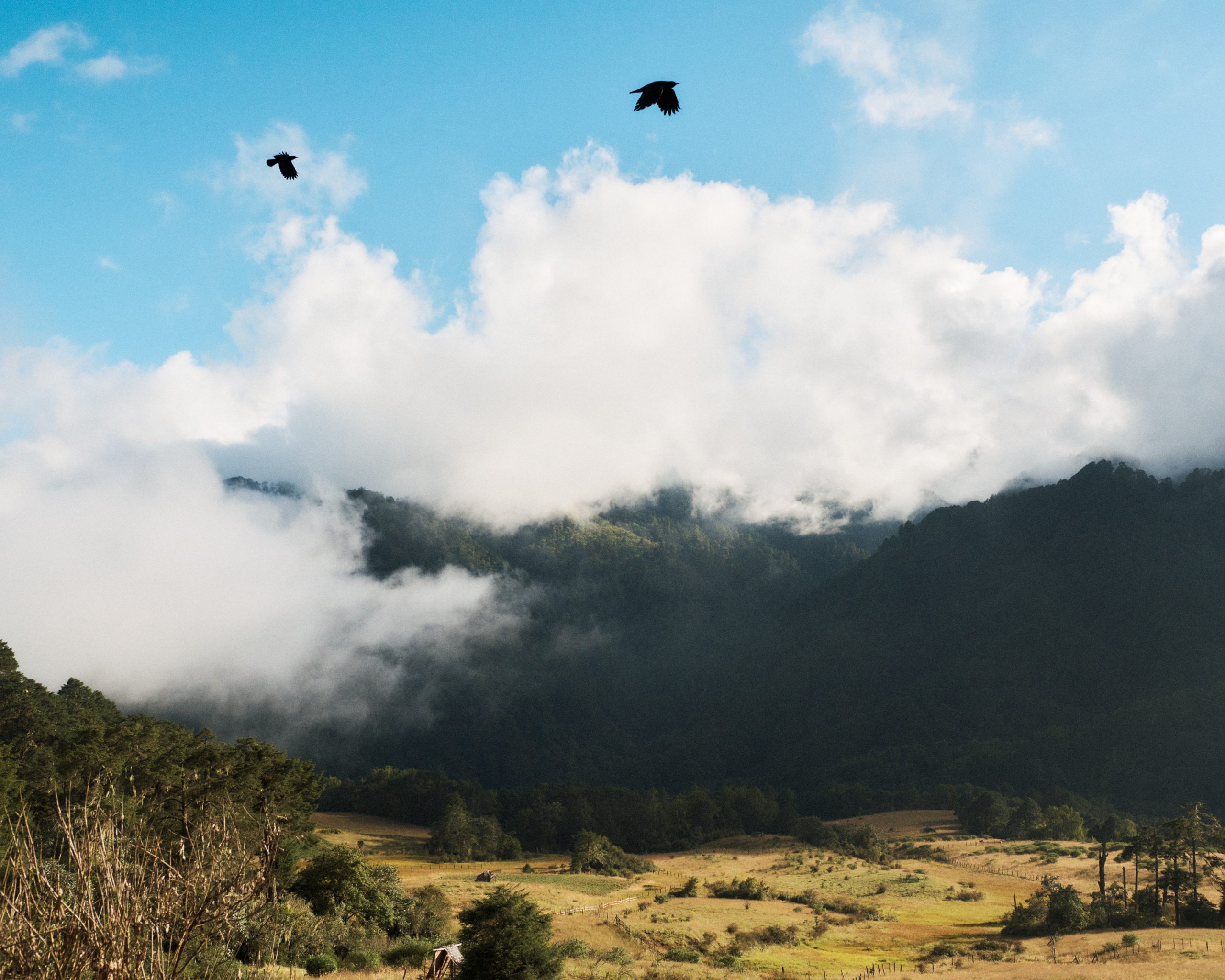 Inaugural Bhutan Ultra postponed to 2026
