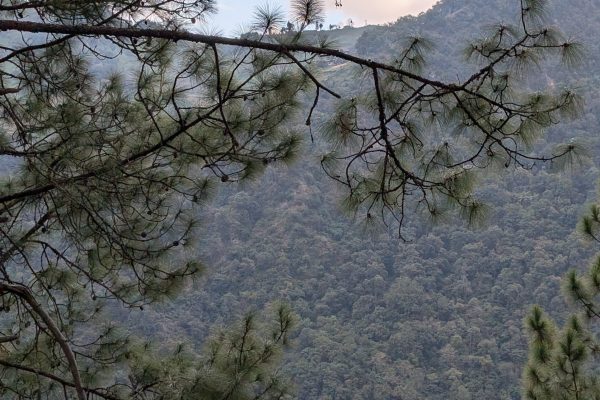 On the way to Mongar
