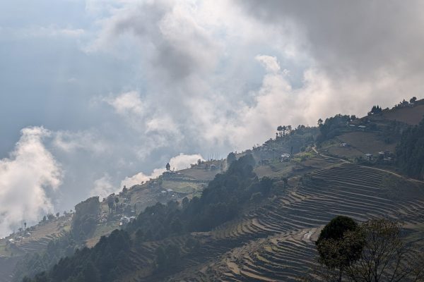 Terrace fields