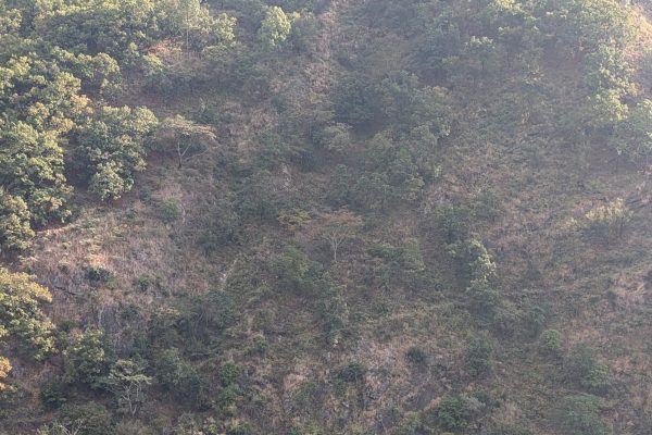 On the way to Trashigang
