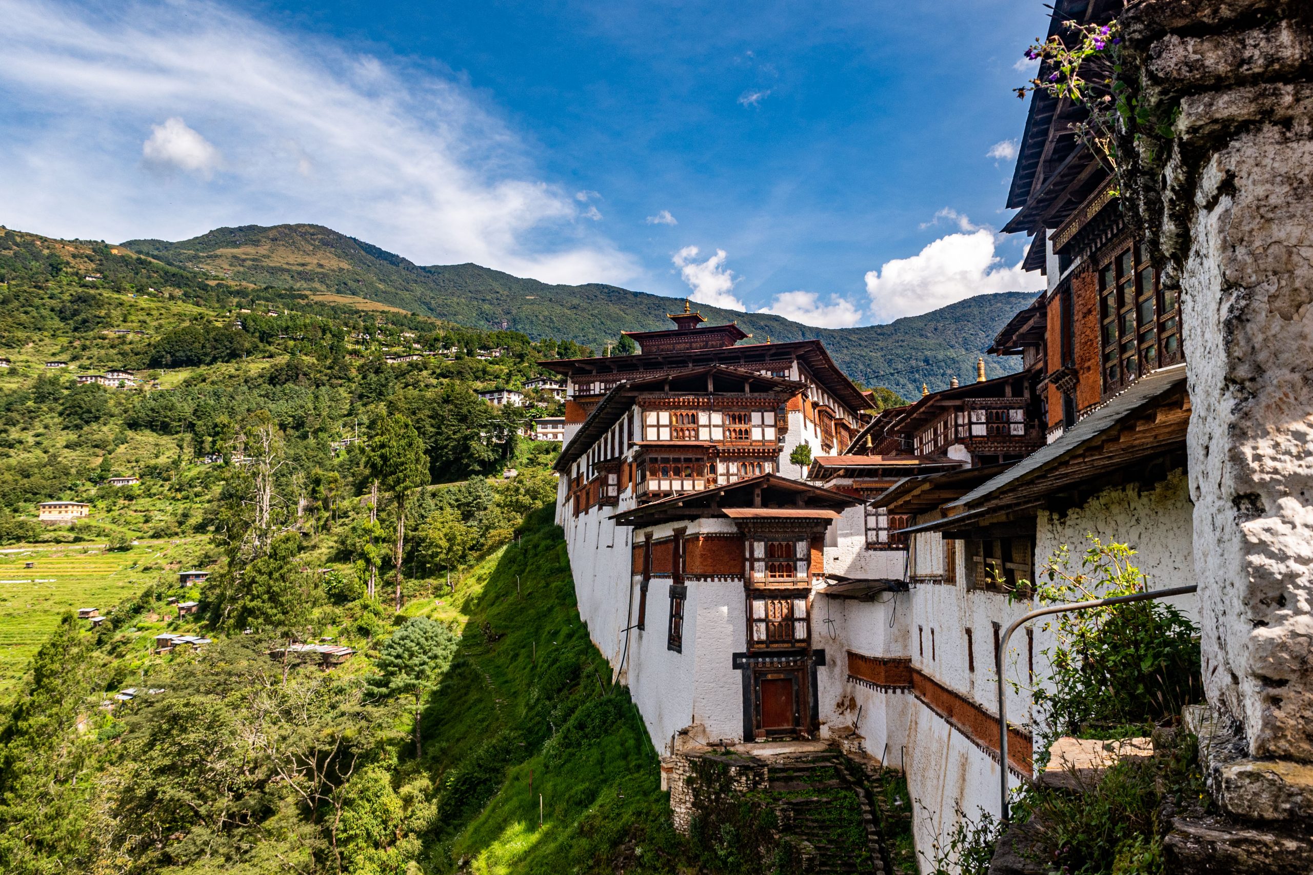 You can now sign up online